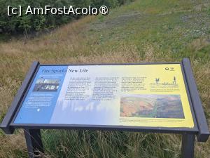 [P33] am purces la drum » foto by robert
 - 
<span class="allrVoted glyphicon glyphicon-heart hidden" id="av1508690"></span>
<a class="m-l-10 hidden" id="sv1508690" onclick="voting_Foto_DelVot(,1508690,29187)" role="button">șterge vot <span class="glyphicon glyphicon-remove"></span></a>
<a id="v91508690" class=" c-red"  onclick="voting_Foto_SetVot(1508690)" role="button"><span class="glyphicon glyphicon-heart-empty"></span> <b>LIKE</b> = Votează poza</a> <img class="hidden"  id="f1508690W9" src="/imagini/loader.gif" border="0" /><span class="AjErrMes hidden" id="e1508690ErM"></span>