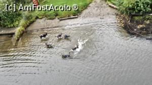 [P25] bucuria de după » foto by robert
 - 
<span class="allrVoted glyphicon glyphicon-heart hidden" id="av1510086"></span>
<a class="m-l-10 hidden" id="sv1510086" onclick="voting_Foto_DelVot(,1510086,29187)" role="button">șterge vot <span class="glyphicon glyphicon-remove"></span></a>
<a id="v91510086" class=" c-red"  onclick="voting_Foto_SetVot(1510086)" role="button"><span class="glyphicon glyphicon-heart-empty"></span> <b>LIKE</b> = Votează poza</a> <img class="hidden"  id="f1510086W9" src="/imagini/loader.gif" border="0" /><span class="AjErrMes hidden" id="e1510086ErM"></span>