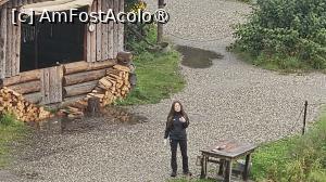 [P33] nativă din zonă » foto by robert
 - 
<span class="allrVoted glyphicon glyphicon-heart hidden" id="av1510094"></span>
<a class="m-l-10 hidden" id="sv1510094" onclick="voting_Foto_DelVot(,1510094,29187)" role="button">șterge vot <span class="glyphicon glyphicon-remove"></span></a>
<a id="v91510094" class=" c-red"  onclick="voting_Foto_SetVot(1510094)" role="button"><span class="glyphicon glyphicon-heart-empty"></span> <b>LIKE</b> = Votează poza</a> <img class="hidden"  id="f1510094W9" src="/imagini/loader.gif" border="0" /><span class="AjErrMes hidden" id="e1510094ErM"></span>