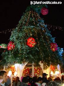 [P03] Casuta Mosului din Piata Unirii. » foto by ninaa
 - 
<span class="allrVoted glyphicon glyphicon-heart hidden" id="av174230"></span>
<a class="m-l-10 hidden" id="sv174230" onclick="voting_Foto_DelVot(,174230,29197)" role="button">șterge vot <span class="glyphicon glyphicon-remove"></span></a>
<a id="v9174230" class=" c-red"  onclick="voting_Foto_SetVot(174230)" role="button"><span class="glyphicon glyphicon-heart-empty"></span> <b>LIKE</b> = Votează poza</a> <img class="hidden"  id="f174230W9" src="/imagini/loader.gif" border="0" /><span class="AjErrMes hidden" id="e174230ErM"></span>