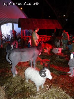 [P09] Ieslea Nașterii - atracție pentru prichindei.  » foto by tata123 🔱
 - 
<span class="allrVoted glyphicon glyphicon-heart hidden" id="av1133750"></span>
<a class="m-l-10 hidden" id="sv1133750" onclick="voting_Foto_DelVot(,1133750,29197)" role="button">șterge vot <span class="glyphicon glyphicon-remove"></span></a>
<a id="v91133750" class=" c-red"  onclick="voting_Foto_SetVot(1133750)" role="button"><span class="glyphicon glyphicon-heart-empty"></span> <b>LIKE</b> = Votează poza</a> <img class="hidden"  id="f1133750W9" src="/imagini/loader.gif" border="0" /><span class="AjErrMes hidden" id="e1133750ErM"></span>