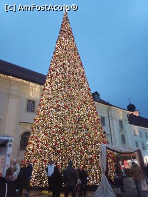 [P14] Bradul din târgul de Crăciun » foto by nelu73
 - 
<span class="allrVoted glyphicon glyphicon-heart hidden" id="av1341245"></span>
<a class="m-l-10 hidden" id="sv1341245" onclick="voting_Foto_DelVot(,1341245,29199)" role="button">șterge vot <span class="glyphicon glyphicon-remove"></span></a>
<a id="v91341245" class=" c-red"  onclick="voting_Foto_SetVot(1341245)" role="button"><span class="glyphicon glyphicon-heart-empty"></span> <b>LIKE</b> = Votează poza</a> <img class="hidden"  id="f1341245W9" src="/imagini/loader.gif" border="0" /><span class="AjErrMes hidden" id="e1341245ErM"></span>