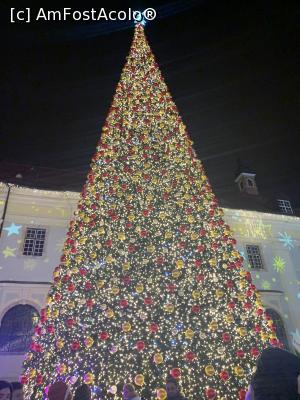 [P01] Bradul sibienilor-artificial de câțiva ani » foto by AZE
 - 
<span class="allrVoted glyphicon glyphicon-heart hidden" id="av1341686"></span>
<a class="m-l-10 hidden" id="sv1341686" onclick="voting_Foto_DelVot(,1341686,29199)" role="button">șterge vot <span class="glyphicon glyphicon-remove"></span></a>
<a id="v91341686" class=" c-red"  onclick="voting_Foto_SetVot(1341686)" role="button"><span class="glyphicon glyphicon-heart-empty"></span> <b>LIKE</b> = Votează poza</a> <img class="hidden"  id="f1341686W9" src="/imagini/loader.gif" border="0" /><span class="AjErrMes hidden" id="e1341686ErM"></span>