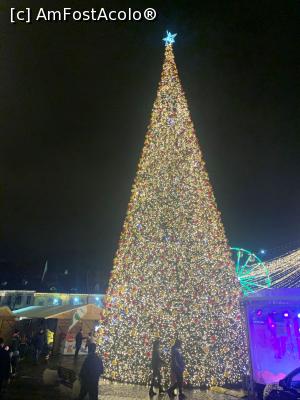 [P10] Bradul artificial » foto by AZE
 - 
<span class="allrVoted glyphicon glyphicon-heart hidden" id="av1341695"></span>
<a class="m-l-10 hidden" id="sv1341695" onclick="voting_Foto_DelVot(,1341695,29199)" role="button">șterge vot <span class="glyphicon glyphicon-remove"></span></a>
<a id="v91341695" class=" c-red"  onclick="voting_Foto_SetVot(1341695)" role="button"><span class="glyphicon glyphicon-heart-empty"></span> <b>LIKE</b> = Votează poza</a> <img class="hidden"  id="f1341695W9" src="/imagini/loader.gif" border="0" /><span class="AjErrMes hidden" id="e1341695ErM"></span>