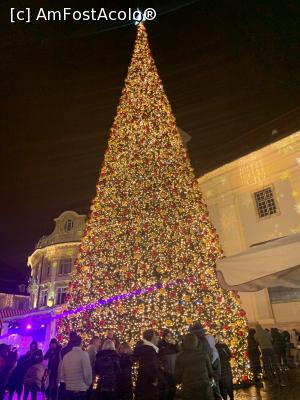 [P04] Bradul din nou » foto by AZE
 - 
<span class="allrVoted glyphicon glyphicon-heart hidden" id="av1341689"></span>
<a class="m-l-10 hidden" id="sv1341689" onclick="voting_Foto_DelVot(,1341689,29199)" role="button">șterge vot <span class="glyphicon glyphicon-remove"></span></a>
<a id="v91341689" class=" c-red"  onclick="voting_Foto_SetVot(1341689)" role="button"><span class="glyphicon glyphicon-heart-empty"></span> <b>LIKE</b> = Votează poza</a> <img class="hidden"  id="f1341689W9" src="/imagini/loader.gif" border="0" /><span class="AjErrMes hidden" id="e1341689ErM"></span>