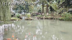 [P67]  -- <small>// FĂRĂ DESCRIERE</small> » foto by elenaadina
 - 
<span class="allrVoted glyphicon glyphicon-heart hidden" id="av1507113"></span>
<a class="m-l-10 hidden" id="sv1507113" onclick="voting_Foto_DelVot(,1507113,29201)" role="button">șterge vot <span class="glyphicon glyphicon-remove"></span></a>
<a id="v91507113" class=" c-red"  onclick="voting_Foto_SetVot(1507113)" role="button"><span class="glyphicon glyphicon-heart-empty"></span> <b>LIKE</b> = Votează poza</a> <img class="hidden"  id="f1507113W9" src="/imagini/loader.gif" border="0" /><span class="AjErrMes hidden" id="e1507113ErM"></span>