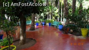 [P12] Loc de relexare, Gradina Majorelle » foto by mecut
 - 
<span class="allrVoted glyphicon glyphicon-heart hidden" id="av1014832"></span>
<a class="m-l-10 hidden" id="sv1014832" onclick="voting_Foto_DelVot(,1014832,29203)" role="button">șterge vot <span class="glyphicon glyphicon-remove"></span></a>
<a id="v91014832" class=" c-red"  onclick="voting_Foto_SetVot(1014832)" role="button"><span class="glyphicon glyphicon-heart-empty"></span> <b>LIKE</b> = Votează poza</a> <img class="hidden"  id="f1014832W9" src="/imagini/loader.gif" border="0" /><span class="AjErrMes hidden" id="e1014832ErM"></span>