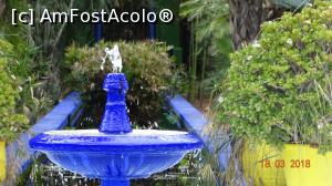 [P08] Albastru de Majorelle, in fundal, pavilionul - Gradina Majorelle » foto by mecut
 - 
<span class="allrVoted glyphicon glyphicon-heart hidden" id="av1014828"></span>
<a class="m-l-10 hidden" id="sv1014828" onclick="voting_Foto_DelVot(,1014828,29203)" role="button">șterge vot <span class="glyphicon glyphicon-remove"></span></a>
<a id="v91014828" class=" c-red"  onclick="voting_Foto_SetVot(1014828)" role="button"><span class="glyphicon glyphicon-heart-empty"></span> <b>LIKE</b> = Votează poza</a> <img class="hidden"  id="f1014828W9" src="/imagini/loader.gif" border="0" /><span class="AjErrMes hidden" id="e1014828ErM"></span>