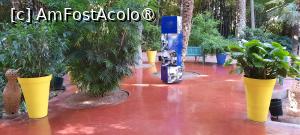 [P18] Marrakech, Grădina Majorelle, Prin Grădina viu colorată, spre Poarta încuiată în dreapta » foto by mprofeanu
 - 
<span class="allrVoted glyphicon glyphicon-heart hidden" id="av1483265"></span>
<a class="m-l-10 hidden" id="sv1483265" onclick="voting_Foto_DelVot(,1483265,29203)" role="button">șterge vot <span class="glyphicon glyphicon-remove"></span></a>
<a id="v91483265" class=" c-red"  onclick="voting_Foto_SetVot(1483265)" role="button"><span class="glyphicon glyphicon-heart-empty"></span> <b>LIKE</b> = Votează poza</a> <img class="hidden"  id="f1483265W9" src="/imagini/loader.gif" border="0" /><span class="AjErrMes hidden" id="e1483265ErM"></span>