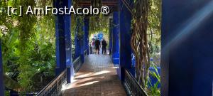 [P27] Marrakech, Grădina Majorelle, Pergola, în dreapta Iazul cu Nuferi » foto by mprofeanu
 - 
<span class="allrVoted glyphicon glyphicon-heart hidden" id="av1483274"></span>
<a class="m-l-10 hidden" id="sv1483274" onclick="voting_Foto_DelVot(,1483274,29203)" role="button">șterge vot <span class="glyphicon glyphicon-remove"></span></a>
<a id="v91483274" class=" c-red"  onclick="voting_Foto_SetVot(1483274)" role="button"><span class="glyphicon glyphicon-heart-empty"></span> <b>LIKE</b> = Votează poza</a> <img class="hidden"  id="f1483274W9" src="/imagini/loader.gif" border="0" /><span class="AjErrMes hidden" id="e1483274ErM"></span>
