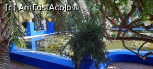 [P30] Marrakech, Grădina Majorelle, Iazul cu nuferi pozat de jos de lângă apă » foto by mprofeanu
 - 
<span class="allrVoted glyphicon glyphicon-heart hidden" id="av1483277"></span>
<a class="m-l-10 hidden" id="sv1483277" onclick="voting_Foto_DelVot(,1483277,29203)" role="button">șterge vot <span class="glyphicon glyphicon-remove"></span></a>
<a id="v91483277" class=" c-red"  onclick="voting_Foto_SetVot(1483277)" role="button"><span class="glyphicon glyphicon-heart-empty"></span> <b>LIKE</b> = Votează poza</a> <img class="hidden"  id="f1483277W9" src="/imagini/loader.gif" border="0" /><span class="AjErrMes hidden" id="e1483277ErM"></span>