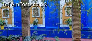 [P37] Marrakech, Grădina Majorelle, Muzeul de Artă Berberă Pierre Bergé, detalii » foto by mprofeanu
 - 
<span class="allrVoted glyphicon glyphicon-heart hidden" id="av1483284"></span>
<a class="m-l-10 hidden" id="sv1483284" onclick="voting_Foto_DelVot(,1483284,29203)" role="button">șterge vot <span class="glyphicon glyphicon-remove"></span></a>
<a id="v91483284" class=" c-red"  onclick="voting_Foto_SetVot(1483284)" role="button"><span class="glyphicon glyphicon-heart-empty"></span> <b>LIKE</b> = Votează poza</a> <img class="hidden"  id="f1483284W9" src="/imagini/loader.gif" border="0" /><span class="AjErrMes hidden" id="e1483284ErM"></span>