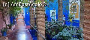 [P38] Marrakech, Grădina Majorelle, Muzeul de Artă Berberă Pierre Bergé, se află în dreapta, în față se merge la Boutic » foto by mprofeanu
 - 
<span class="allrVoted glyphicon glyphicon-heart hidden" id="av1483285"></span>
<a class="m-l-10 hidden" id="sv1483285" onclick="voting_Foto_DelVot(,1483285,29203)" role="button">șterge vot <span class="glyphicon glyphicon-remove"></span></a>
<a id="v91483285" class=" c-red"  onclick="voting_Foto_SetVot(1483285)" role="button"><span class="glyphicon glyphicon-heart-empty"></span> <b>LIKE</b> = Votează poza</a> <img class="hidden"  id="f1483285W9" src="/imagini/loader.gif" border="0" /><span class="AjErrMes hidden" id="e1483285ErM"></span>