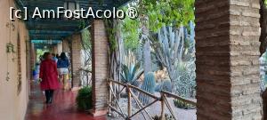 [P60] Marrakech, Grădina Majorelle, Colecția de Cactuși și Pergola » foto by mprofeanu
 - 
<span class="allrVoted glyphicon glyphicon-heart hidden" id="av1483307"></span>
<a class="m-l-10 hidden" id="sv1483307" onclick="voting_Foto_DelVot(,1483307,29203)" role="button">șterge vot <span class="glyphicon glyphicon-remove"></span></a>
<a id="v91483307" class=" c-red"  onclick="voting_Foto_SetVot(1483307)" role="button"><span class="glyphicon glyphicon-heart-empty"></span> <b>LIKE</b> = Votează poza</a> <img class="hidden"  id="f1483307W9" src="/imagini/loader.gif" border="0" /><span class="AjErrMes hidden" id="e1483307ErM"></span>