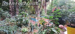 [P18] Bănci în areal unde să poți zăbovi un pic » foto by irinad
 - 
<span class="allrVoted glyphicon glyphicon-heart hidden" id="av1510622"></span>
<a class="m-l-10 hidden" id="sv1510622" onclick="voting_Foto_DelVot(,1510622,29203)" role="button">șterge vot <span class="glyphicon glyphicon-remove"></span></a>
<a id="v91510622" class=" c-red"  onclick="voting_Foto_SetVot(1510622)" role="button"><span class="glyphicon glyphicon-heart-empty"></span> <b>LIKE</b> = Votează poza</a> <img class="hidden"  id="f1510622W9" src="/imagini/loader.gif" border="0" /><span class="AjErrMes hidden" id="e1510622ErM"></span>