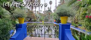 [P02] Vedere spre un bazin printre ghivece » foto by irinad
 - 
<span class="allrVoted glyphicon glyphicon-heart hidden" id="av1510606"></span>
<a class="m-l-10 hidden" id="sv1510606" onclick="voting_Foto_DelVot(,1510606,29203)" role="button">șterge vot <span class="glyphicon glyphicon-remove"></span></a>
<a id="v91510606" class=" c-red"  onclick="voting_Foto_SetVot(1510606)" role="button"><span class="glyphicon glyphicon-heart-empty"></span> <b>LIKE</b> = Votează poza</a> <img class="hidden"  id="f1510606W9" src="/imagini/loader.gif" border="0" /><span class="AjErrMes hidden" id="e1510606ErM"></span>