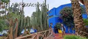 [P31] Muzeul Artelor Berbere „Pierre Bergé”, cactuși și fântână » foto by irinad
 - 
<span class="allrVoted glyphicon glyphicon-heart hidden" id="av1510635"></span>
<a class="m-l-10 hidden" id="sv1510635" onclick="voting_Foto_DelVot(,1510635,29203)" role="button">șterge vot <span class="glyphicon glyphicon-remove"></span></a>
<a id="v91510635" class=" c-red"  onclick="voting_Foto_SetVot(1510635)" role="button"><span class="glyphicon glyphicon-heart-empty"></span> <b>LIKE</b> = Votează poza</a> <img class="hidden"  id="f1510635W9" src="/imagini/loader.gif" border="0" /><span class="AjErrMes hidden" id="e1510635ErM"></span>