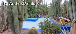 [P07] Fântâna mare din fața muzeului și mulți cactuși » foto by irinad
 - 
<span class="allrVoted glyphicon glyphicon-heart hidden" id="av1510611"></span>
<a class="m-l-10 hidden" id="sv1510611" onclick="voting_Foto_DelVot(,1510611,29203)" role="button">șterge vot <span class="glyphicon glyphicon-remove"></span></a>
<a id="v91510611" class=" c-red"  onclick="voting_Foto_SetVot(1510611)" role="button"><span class="glyphicon glyphicon-heart-empty"></span> <b>LIKE</b> = Votează poza</a> <img class="hidden"  id="f1510611W9" src="/imagini/loader.gif" border="0" /><span class="AjErrMes hidden" id="e1510611ErM"></span>