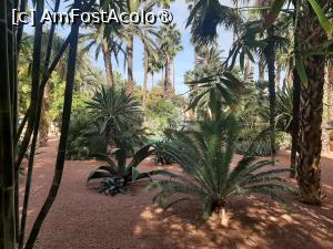 [P14] Grădina privată a Vilei Oasis » foto by adso
 - 
<span class="allrVoted glyphicon glyphicon-heart hidden" id="av1524796"></span>
<a class="m-l-10 hidden" id="sv1524796" onclick="voting_Foto_DelVot(,1524796,29203)" role="button">șterge vot <span class="glyphicon glyphicon-remove"></span></a>
<a id="v91524796" class=" c-red"  onclick="voting_Foto_SetVot(1524796)" role="button"><span class="glyphicon glyphicon-heart-empty"></span> <b>LIKE</b> = Votează poza</a> <img class="hidden"  id="f1524796W9" src="/imagini/loader.gif" border="0" /><span class="AjErrMes hidden" id="e1524796ErM"></span>