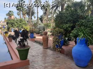 [P20] Grădina privată a Vilei Oasis » foto by adso
 - 
<span class="allrVoted glyphicon glyphicon-heart hidden" id="av1524802"></span>
<a class="m-l-10 hidden" id="sv1524802" onclick="voting_Foto_DelVot(,1524802,29203)" role="button">șterge vot <span class="glyphicon glyphicon-remove"></span></a>
<a id="v91524802" class=" c-red"  onclick="voting_Foto_SetVot(1524802)" role="button"><span class="glyphicon glyphicon-heart-empty"></span> <b>LIKE</b> = Votează poza</a> <img class="hidden"  id="f1524802W9" src="/imagini/loader.gif" border="0" /><span class="AjErrMes hidden" id="e1524802ErM"></span>