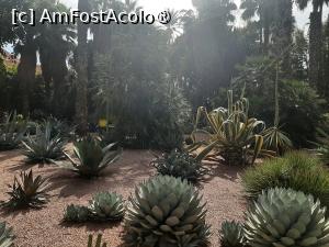 [P33] Grădina privată a Vilei Oasis » foto by adso
 - 
<span class="allrVoted glyphicon glyphicon-heart hidden" id="av1524815"></span>
<a class="m-l-10 hidden" id="sv1524815" onclick="voting_Foto_DelVot(,1524815,29203)" role="button">șterge vot <span class="glyphicon glyphicon-remove"></span></a>
<a id="v91524815" class=" c-red"  onclick="voting_Foto_SetVot(1524815)" role="button"><span class="glyphicon glyphicon-heart-empty"></span> <b>LIKE</b> = Votează poza</a> <img class="hidden"  id="f1524815W9" src="/imagini/loader.gif" border="0" /><span class="AjErrMes hidden" id="e1524815ErM"></span>