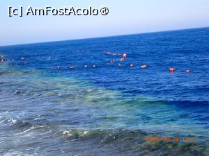 [P98] Rixos Radamis Tirana - zonă de înot şi snorkeling » foto by nicole33
 - 
<span class="allrVoted glyphicon glyphicon-heart hidden" id="av1510958"></span>
<a class="m-l-10 hidden" id="sv1510958" onclick="voting_Foto_DelVot(,1510958,29204)" role="button">șterge vot <span class="glyphicon glyphicon-remove"></span></a>
<a id="v91510958" class=" c-red"  onclick="voting_Foto_SetVot(1510958)" role="button"><span class="glyphicon glyphicon-heart-empty"></span> <b>LIKE</b> = Votează poza</a> <img class="hidden"  id="f1510958W9" src="/imagini/loader.gif" border="0" /><span class="AjErrMes hidden" id="e1510958ErM"></span>