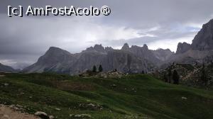 [P17]  -- <small>// FĂRĂ DESCRIERE</small> » foto by elenaadina
 - 
<span class="allrVoted glyphicon glyphicon-heart hidden" id="av1511657"></span>
<a class="m-l-10 hidden" id="sv1511657" onclick="voting_Foto_DelVot(,1511657,29209)" role="button">șterge vot <span class="glyphicon glyphicon-remove"></span></a>
<a id="v91511657" class=" c-red"  onclick="voting_Foto_SetVot(1511657)" role="button"><span class="glyphicon glyphicon-heart-empty"></span> <b>LIKE</b> = Votează poza</a> <img class="hidden"  id="f1511657W9" src="/imagini/loader.gif" border="0" /><span class="AjErrMes hidden" id="e1511657ErM"></span>