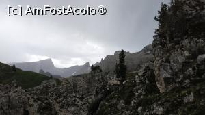 [P33]  -- <small>// FĂRĂ DESCRIERE</small> » foto by elenaadina
 - 
<span class="allrVoted glyphicon glyphicon-heart hidden" id="av1511673"></span>
<a class="m-l-10 hidden" id="sv1511673" onclick="voting_Foto_DelVot(,1511673,29209)" role="button">șterge vot <span class="glyphicon glyphicon-remove"></span></a>
<a id="v91511673" class=" c-red"  onclick="voting_Foto_SetVot(1511673)" role="button"><span class="glyphicon glyphicon-heart-empty"></span> <b>LIKE</b> = Votează poza</a> <img class="hidden"  id="f1511673W9" src="/imagini/loader.gif" border="0" /><span class="AjErrMes hidden" id="e1511673ErM"></span>