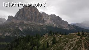 [P37]  -- <small>// FĂRĂ DESCRIERE</small> » foto by elenaadina
 - 
<span class="allrVoted glyphicon glyphicon-heart hidden" id="av1511677"></span>
<a class="m-l-10 hidden" id="sv1511677" onclick="voting_Foto_DelVot(,1511677,29209)" role="button">șterge vot <span class="glyphicon glyphicon-remove"></span></a>
<a id="v91511677" class=" c-red"  onclick="voting_Foto_SetVot(1511677)" role="button"><span class="glyphicon glyphicon-heart-empty"></span> <b>LIKE</b> = Votează poza</a> <img class="hidden"  id="f1511677W9" src="/imagini/loader.gif" border="0" /><span class="AjErrMes hidden" id="e1511677ErM"></span>