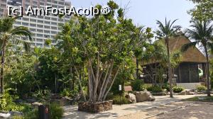 [P72]  -- <small>// FĂRĂ DESCRIERE</small> » foto by elenaadina
 - 
<span class="allrVoted glyphicon glyphicon-heart hidden" id="av1512167"></span>
<a class="m-l-10 hidden" id="sv1512167" onclick="voting_Foto_DelVot(,1512167,29213)" role="button">șterge vot <span class="glyphicon glyphicon-remove"></span></a>
<a id="v91512167" class=" c-red"  onclick="voting_Foto_SetVot(1512167)" role="button"><span class="glyphicon glyphicon-heart-empty"></span> <b>LIKE</b> = Votează poza</a> <img class="hidden"  id="f1512167W9" src="/imagini/loader.gif" border="0" /><span class="AjErrMes hidden" id="e1512167ErM"></span>