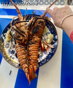 [P22] Homar gătit la Essaoura Oceanul Atlantic Maroc » foto by ManuelaManu
 - 
<span class="allrVoted glyphicon glyphicon-heart hidden" id="av1514538"></span>
<a class="m-l-10 hidden" id="sv1514538" onclick="voting_Foto_DelVot(,1514538,29224)" role="button">șterge vot <span class="glyphicon glyphicon-remove"></span></a>
<a id="v91514538" class=" c-red"  onclick="voting_Foto_SetVot(1514538)" role="button"><span class="glyphicon glyphicon-heart-empty"></span> <b>LIKE</b> = Votează poza</a> <img class="hidden"  id="f1514538W9" src="/imagini/loader.gif" border="0" /><span class="AjErrMes hidden" id="e1514538ErM"></span>