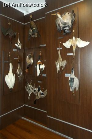 [P04] Cea de-a doua sală -zona păsărilor » foto by Claudiu U.
 - 
<span class="allrVoted glyphicon glyphicon-heart hidden" id="av1514643"></span>
<a class="m-l-10 hidden" id="sv1514643" onclick="voting_Foto_DelVot(,1514643,29226)" role="button">șterge vot <span class="glyphicon glyphicon-remove"></span></a>
<a id="v91514643" class=" c-red"  onclick="voting_Foto_SetVot(1514643)" role="button"><span class="glyphicon glyphicon-heart-empty"></span> <b>LIKE</b> = Votează poza</a> <img class="hidden"  id="f1514643W9" src="/imagini/loader.gif" border="0" /><span class="AjErrMes hidden" id="e1514643ErM"></span>