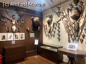 [P15] Trofee aranjate artistic,nu lipsesc nici ursul » foto by AZE
 - 
<span class="allrVoted glyphicon glyphicon-heart hidden" id="av1355966"></span>
<a class="m-l-10 hidden" id="sv1355966" onclick="voting_Foto_DelVot(,1355966,29226)" role="button">șterge vot <span class="glyphicon glyphicon-remove"></span></a>
<a id="v91355966" class=" c-red"  onclick="voting_Foto_SetVot(1355966)" role="button"><span class="glyphicon glyphicon-heart-empty"></span> <b>LIKE</b> = Votează poza</a> <img class="hidden"  id="f1355966W9" src="/imagini/loader.gif" border="0" /><span class="AjErrMes hidden" id="e1355966ErM"></span>