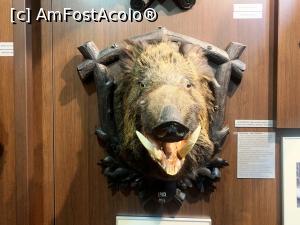 [P25] Trofee de mistreț » foto by AZE
 - 
<span class="allrVoted glyphicon glyphicon-heart hidden" id="av1355976"></span>
<a class="m-l-10 hidden" id="sv1355976" onclick="voting_Foto_DelVot(,1355976,29226)" role="button">șterge vot <span class="glyphicon glyphicon-remove"></span></a>
<a id="v91355976" class=" c-red"  onclick="voting_Foto_SetVot(1355976)" role="button"><span class="glyphicon glyphicon-heart-empty"></span> <b>LIKE</b> = Votează poza</a> <img class="hidden"  id="f1355976W9" src="/imagini/loader.gif" border="0" /><span class="AjErrMes hidden" id="e1355976ErM"></span>