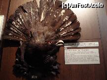 [P12] Sibiu - Muzeul de vanatoare - cocos de munte » foto by Diaura*
 - 
<span class="allrVoted glyphicon glyphicon-heart hidden" id="av283950"></span>
<a class="m-l-10 hidden" id="sv283950" onclick="voting_Foto_DelVot(,283950,29226)" role="button">șterge vot <span class="glyphicon glyphicon-remove"></span></a>
<a id="v9283950" class=" c-red"  onclick="voting_Foto_SetVot(283950)" role="button"><span class="glyphicon glyphicon-heart-empty"></span> <b>LIKE</b> = Votează poza</a> <img class="hidden"  id="f283950W9" src="/imagini/loader.gif" border="0" /><span class="AjErrMes hidden" id="e283950ErM"></span>