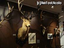 [P18] Sibiu - Muzeul de vanatoare » foto by Diaura*
 - 
<span class="allrVoted glyphicon glyphicon-heart hidden" id="av283956"></span>
<a class="m-l-10 hidden" id="sv283956" onclick="voting_Foto_DelVot(,283956,29226)" role="button">șterge vot <span class="glyphicon glyphicon-remove"></span></a>
<a id="v9283956" class=" c-red"  onclick="voting_Foto_SetVot(283956)" role="button"><span class="glyphicon glyphicon-heart-empty"></span> <b>LIKE</b> = Votează poza</a> <img class="hidden"  id="f283956W9" src="/imagini/loader.gif" border="0" /><span class="AjErrMes hidden" id="e283956ErM"></span>