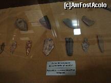 [P03] Sibiu - Muzeul de vanatoare » foto by Diaura*
 - 
<span class="allrVoted glyphicon glyphicon-heart hidden" id="av283941"></span>
<a class="m-l-10 hidden" id="sv283941" onclick="voting_Foto_DelVot(,283941,29226)" role="button">șterge vot <span class="glyphicon glyphicon-remove"></span></a>
<a id="v9283941" class=" c-red"  onclick="voting_Foto_SetVot(283941)" role="button"><span class="glyphicon glyphicon-heart-empty"></span> <b>LIKE</b> = Votează poza</a> <img class="hidden"  id="f283941W9" src="/imagini/loader.gif" border="0" /><span class="AjErrMes hidden" id="e283941ErM"></span>