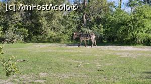 [P35] prin parcul natural » foto by robert
 - 
<span class="allrVoted glyphicon glyphicon-heart hidden" id="av1513783"></span>
<a class="m-l-10 hidden" id="sv1513783" onclick="voting_Foto_DelVot(,1513783,29229)" role="button">șterge vot <span class="glyphicon glyphicon-remove"></span></a>
<a id="v91513783" class=" c-red"  onclick="voting_Foto_SetVot(1513783)" role="button"><span class="glyphicon glyphicon-heart-empty"></span> <b>LIKE</b> = Votează poza</a> <img class="hidden"  id="f1513783W9" src="/imagini/loader.gif" border="0" /><span class="AjErrMes hidden" id="e1513783ErM"></span>