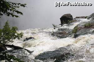 [P10] de aici incepe caderea » foto by christian26ro
 - 
<span class="allrVoted glyphicon glyphicon-heart hidden" id="av409035"></span>
<a class="m-l-10 hidden" id="sv409035" onclick="voting_Foto_DelVot(,409035,29229)" role="button">șterge vot <span class="glyphicon glyphicon-remove"></span></a>
<a id="v9409035" class=" c-red"  onclick="voting_Foto_SetVot(409035)" role="button"><span class="glyphicon glyphicon-heart-empty"></span> <b>LIKE</b> = Votează poza</a> <img class="hidden"  id="f409035W9" src="/imagini/loader.gif" border="0" /><span class="AjErrMes hidden" id="e409035ErM"></span>