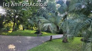 [P29] grădina interioară » foto by robert
 - 
<span class="allrVoted glyphicon glyphicon-heart hidden" id="av1514838"></span>
<a class="m-l-10 hidden" id="sv1514838" onclick="voting_Foto_DelVot(,1514838,29232)" role="button">șterge vot <span class="glyphicon glyphicon-remove"></span></a>
<a id="v91514838" class=" c-red"  onclick="voting_Foto_SetVot(1514838)" role="button"><span class="glyphicon glyphicon-heart-empty"></span> <b>LIKE</b> = Votează poza</a> <img class="hidden"  id="f1514838W9" src="/imagini/loader.gif" border="0" /><span class="AjErrMes hidden" id="e1514838ErM"></span>