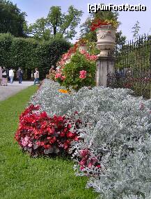 [P04] O zi in Salzburg - Gradinile Mirabell - flori de toate culorile » foto by irma_ro*
 - 
<span class="allrVoted glyphicon glyphicon-heart hidden" id="av173061"></span>
<a class="m-l-10 hidden" id="sv173061" onclick="voting_Foto_DelVot(,173061,29235)" role="button">șterge vot <span class="glyphicon glyphicon-remove"></span></a>
<a id="v9173061" class=" c-red"  onclick="voting_Foto_SetVot(173061)" role="button"><span class="glyphicon glyphicon-heart-empty"></span> <b>LIKE</b> = Votează poza</a> <img class="hidden"  id="f173061W9" src="/imagini/loader.gif" border="0" /><span class="AjErrMes hidden" id="e173061ErM"></span>