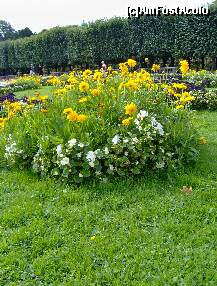 [P05] O zi in Salzburg - Gradinile Mirabell - flori de toate culorile » foto by irma_ro*
 - 
<span class="allrVoted glyphicon glyphicon-heart hidden" id="av173062"></span>
<a class="m-l-10 hidden" id="sv173062" onclick="voting_Foto_DelVot(,173062,29235)" role="button">șterge vot <span class="glyphicon glyphicon-remove"></span></a>
<a id="v9173062" class=" c-red"  onclick="voting_Foto_SetVot(173062)" role="button"><span class="glyphicon glyphicon-heart-empty"></span> <b>LIKE</b> = Votează poza</a> <img class="hidden"  id="f173062W9" src="/imagini/loader.gif" border="0" /><span class="AjErrMes hidden" id="e173062ErM"></span>