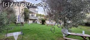 [P08] Zona de luat masa - Vila Aggelos, Koukounaries » foto by vlado2
 - 
<span class="allrVoted glyphicon glyphicon-heart hidden" id="av1518221"></span>
<a class="m-l-10 hidden" id="sv1518221" onclick="voting_Foto_DelVot(,1518221,29253)" role="button">șterge vot <span class="glyphicon glyphicon-remove"></span></a>
<a id="v91518221" class=" c-red"  onclick="voting_Foto_SetVot(1518221)" role="button"><span class="glyphicon glyphicon-heart-empty"></span> <b>LIKE</b> = Votează poza</a> <img class="hidden"  id="f1518221W9" src="/imagini/loader.gif" border="0" /><span class="AjErrMes hidden" id="e1518221ErM"></span>