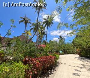 [P02] Sun Siyam Olhuveli » foto by elenaadina
 - 
<span class="allrVoted glyphicon glyphicon-heart hidden" id="av1518305"></span>
<a class="m-l-10 hidden" id="sv1518305" onclick="voting_Foto_DelVot(,1518305,29256)" role="button">șterge vot <span class="glyphicon glyphicon-remove"></span></a>
<a id="v91518305" class=" c-red"  onclick="voting_Foto_SetVot(1518305)" role="button"><span class="glyphicon glyphicon-heart-empty"></span> <b>LIKE</b> = Votează poza</a> <img class="hidden"  id="f1518305W9" src="/imagini/loader.gif" border="0" /><span class="AjErrMes hidden" id="e1518305ErM"></span>