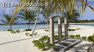 [P51]  -- <small>// FĂRĂ DESCRIERE</small> » foto by elenaadina
 - 
<span class="allrVoted glyphicon glyphicon-heart hidden" id="av1518354"></span>
<a class="m-l-10 hidden" id="sv1518354" onclick="voting_Foto_DelVot(,1518354,29256)" role="button">șterge vot <span class="glyphicon glyphicon-remove"></span></a>
<a id="v91518354" class=" c-red"  onclick="voting_Foto_SetVot(1518354)" role="button"><span class="glyphicon glyphicon-heart-empty"></span> <b>LIKE</b> = Votează poza</a> <img class="hidden"  id="f1518354W9" src="/imagini/loader.gif" border="0" /><span class="AjErrMes hidden" id="e1518354ErM"></span>