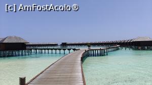 [P88]  -- <small>// FĂRĂ DESCRIERE</small> » foto by elenaadina
 - 
<span class="allrVoted glyphicon glyphicon-heart hidden" id="av1518391"></span>
<a class="m-l-10 hidden" id="sv1518391" onclick="voting_Foto_DelVot(,1518391,29256)" role="button">șterge vot <span class="glyphicon glyphicon-remove"></span></a>
<a id="v91518391" class=" c-red"  onclick="voting_Foto_SetVot(1518391)" role="button"><span class="glyphicon glyphicon-heart-empty"></span> <b>LIKE</b> = Votează poza</a> <img class="hidden"  id="f1518391W9" src="/imagini/loader.gif" border="0" /><span class="AjErrMes hidden" id="e1518391ErM"></span>