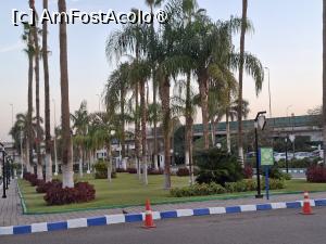 [P04] Cairo, Novotel Cairo Airport Hotel, Palmierii din fața hotelului » foto by mprofeanu
 - 
<span class="allrVoted glyphicon glyphicon-heart hidden" id="av1521991"></span>
<a class="m-l-10 hidden" id="sv1521991" onclick="voting_Foto_DelVot(,1521991,29286)" role="button">șterge vot <span class="glyphicon glyphicon-remove"></span></a>
<a id="v91521991" class=" c-red"  onclick="voting_Foto_SetVot(1521991)" role="button"><span class="glyphicon glyphicon-heart-empty"></span> <b>LIKE</b> = Votează poza</a> <img class="hidden"  id="f1521991W9" src="/imagini/loader.gif" border="0" /><span class="AjErrMes hidden" id="e1521991ErM"></span>
