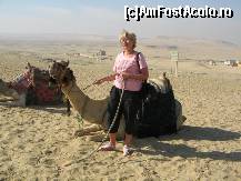 [P01] Il cheama Ramses si ma va conduce la mastaba prin desert » foto by nicoletass
 - 
<span class="allrVoted glyphicon glyphicon-heart hidden" id="av222225"></span>
<a class="m-l-10 hidden" id="sv222225" onclick="voting_Foto_DelVot(,222225,29302)" role="button">șterge vot <span class="glyphicon glyphicon-remove"></span></a>
<a id="v9222225" class=" c-red"  onclick="voting_Foto_SetVot(222225)" role="button"><span class="glyphicon glyphicon-heart-empty"></span> <b>LIKE</b> = Votează poza</a> <img class="hidden"  id="f222225W9" src="/imagini/loader.gif" border="0" /><span class="AjErrMes hidden" id="e222225ErM"></span>