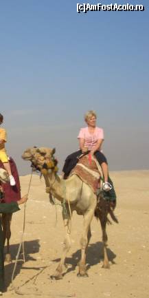 [P07] am urcat din nou pe camila si ne indreptam spre Piramida in trepte, prima piramida construita » foto by nicoletass
 - 
<span class="allrVoted glyphicon glyphicon-heart hidden" id="av222238"></span>
<a class="m-l-10 hidden" id="sv222238" onclick="voting_Foto_DelVot(,222238,29302)" role="button">șterge vot <span class="glyphicon glyphicon-remove"></span></a>
<a id="v9222238" class=" c-red"  onclick="voting_Foto_SetVot(222238)" role="button"><span class="glyphicon glyphicon-heart-empty"></span> <b>LIKE</b> = Votează poza</a> <img class="hidden"  id="f222238W9" src="/imagini/loader.gif" border="0" /><span class="AjErrMes hidden" id="e222238ErM"></span>