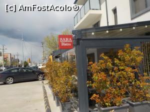 [P02] Apoi am &icirc;nt&acirc;lnit-o pe SARA » foto by Zoazore
 - 
<span class="allrVoted glyphicon glyphicon-heart hidden" id="av1297768"></span>
<a class="m-l-10 hidden" id="sv1297768" onclick="voting_Foto_DelVot(,1297768,29303)" role="button">șterge vot <span class="glyphicon glyphicon-remove"></span></a>
<a id="v91297768" class=" c-red"  onclick="voting_Foto_SetVot(1297768)" role="button"><span class="glyphicon glyphicon-heart-empty"></span> <b>LIKE</b> = Votează poza</a> <img class="hidden"  id="f1297768W9" src="/imagini/loader.gif" border="0" /><span class="AjErrMes hidden" id="e1297768ErM"></span>